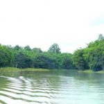 Khám phá nét độc đáo của khu du lịch sinh thái Bù Đốp