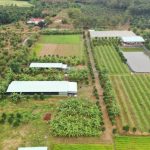 Đánh giá cơ hội từ mua bán đất trang trại Bình Phước