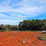 Đất sào, đất mẫu Bình Phước nóng dần theo cơn sốt nhà đất