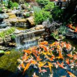 Khám phá du lịch Chơn Thành Bình Phước có gì hấp dẫn?